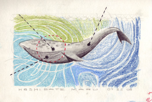 whale-sketch.jpg